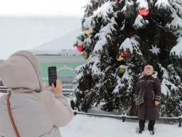lastochka-01-2026- 59